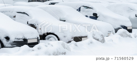 Parked cars covered with snow Parked cars covered with snow 71560529