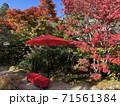 赤い傘と紅葉　日本の風情 71561384