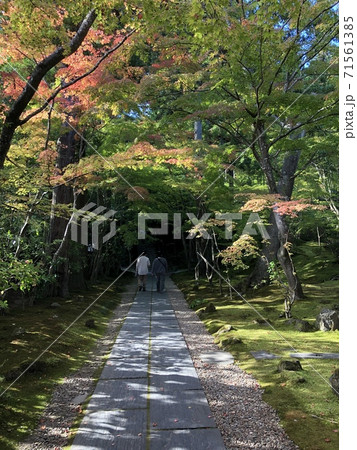 紅葉間近の参道 71561385