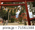 神社の紅葉　鳥居から見える景色 71561388
