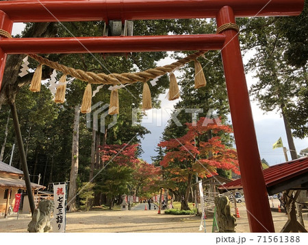 神社の紅葉　鳥居から見える景色 71561388