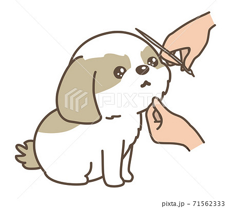 Dog Trimming Face Cut Shih Tzu Stock Illustration