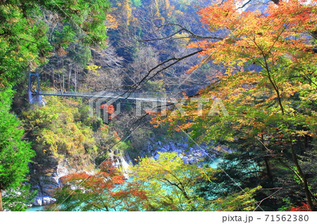 【長野県】秋の天竜峡・つつじ橋 71562380