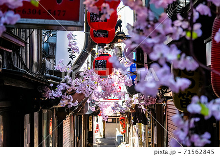 新宿西口思い出横丁 閑散とした昼間 71562845