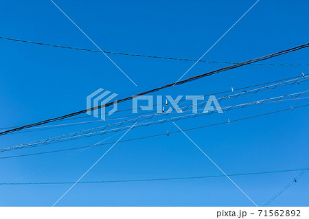 電線 電柱 電線 電柱 71562892