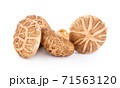 Fresh Shiitake mushroom isolated on white background 71563120