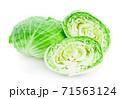 Green cabbage isolated on white background 71563124