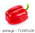 Red bell pepper on white background 71563126