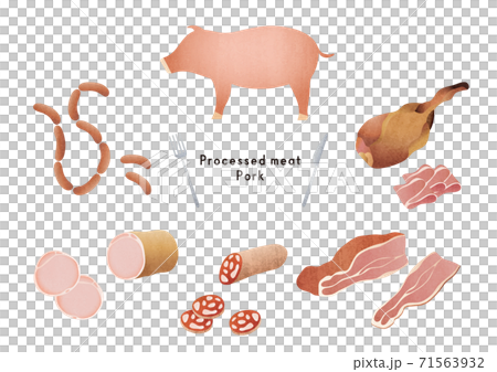Illustration set of pigs and various processed foods 71563932