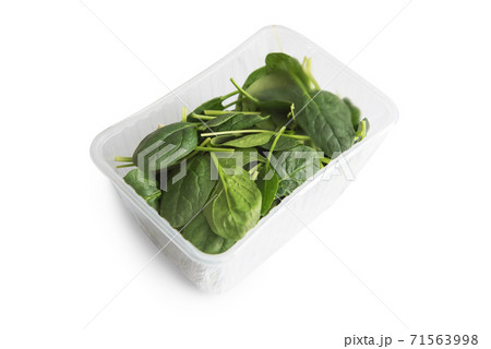 Basil in plastic bag Basil in plastic bag 71563998
