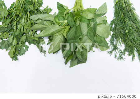 parsley basil dill 71564000
