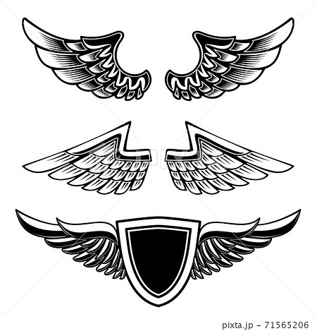 Set of vintage emblems with wings isolated on white background. Design element for logo, label, emblem, sign. 71565206