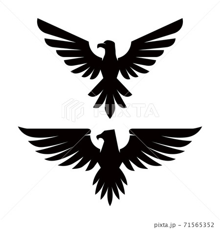 Emblem template with eagle in engraving style. Design elements for logo, label, sign, menu. Emblem template with eagle in engraving style. Design elements for logo, label, sign, menu. 71565352