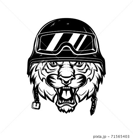 Tiger in racer helmet isolated on white background. Design element for poster, emblem, sign, t shirt. 71565403