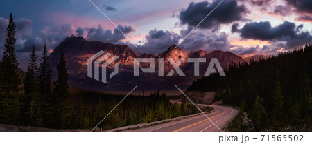 Scenic road in the Canadian Rockies Scenic road in the Canadian Rockies 71565502