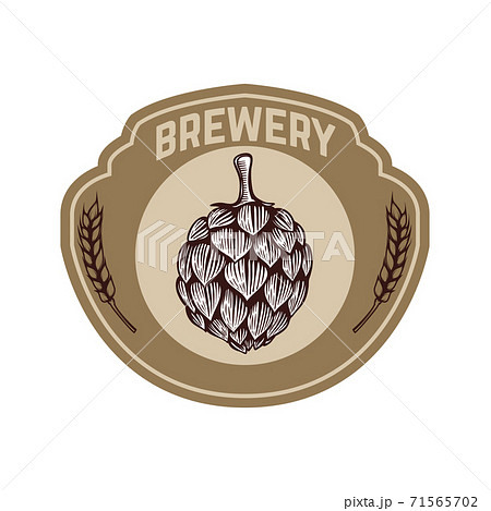 Vintage beer label with hop. Design elements for logo, label, emblem, sign, menu. Vintage beer label with hop. Design elements for logo, label, emblem, sign, menu. 71565702