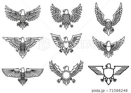 Set of eagle icons isolated on white. Design element for logo, label, emblem, sign. Set of eagle icons isolated on white. Design element for logo, label, emblem, sign. 71566246