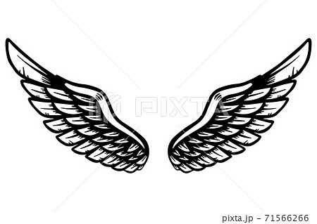 Hand drawn eagle wings illustration isolated on white background. Design element for poster, card, banner, sign, emblem, t shirt. 71566266
