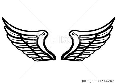 Hand drawn eagle wings illustration isolated on white background. Design element for poster, card, banner, sign, emblem, t shirt. 71566267