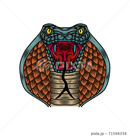 Cobra Snake Illustration In Old School Tattoo Stock Illustration