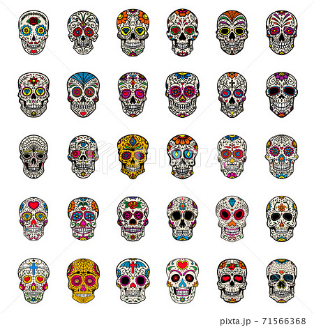 Big Set Of Mexican Sugar Skulls Isolated On のイラスト素材