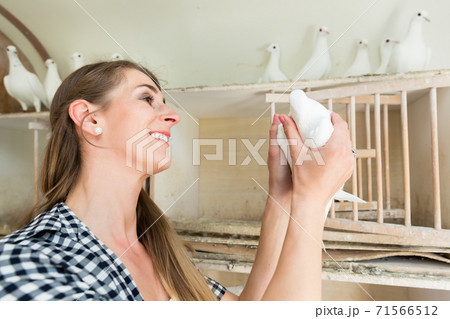 Woman with dove in pigeon loft Woman with dove in pigeon loft 71566512