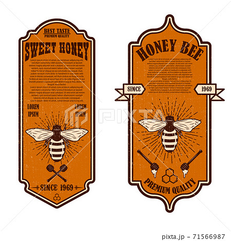 Vintage natural honey flyer templates. Designのイラスト素材