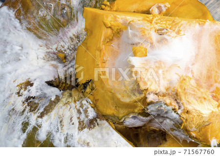 pumpkin during rotting 71567760