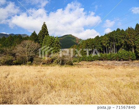 霊峰富士を望める唯一の湿原静岡県富士宮市の小田貫湿原の秋 霊峰富士を望める唯一の湿原静岡県富士宮市の小田貫湿原の秋 71567840
