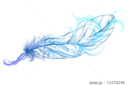 透ける羽と装飾模様のイラスト素材