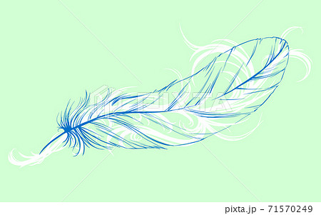 透ける羽と装飾模様 透ける羽と装飾模様 71570249