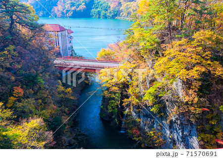 紅葉の駒形峡と赤谷湖 71570691