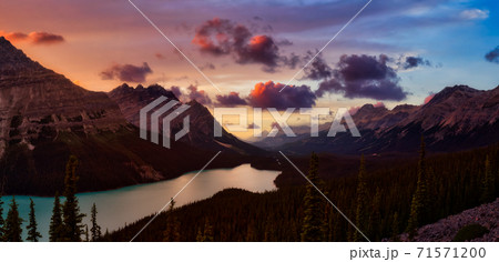 Canadian Rockies and Peyto Lake Canadian Rockies and Peyto Lake 71571200
