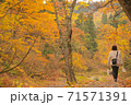 紅葉 お散歩 71571391