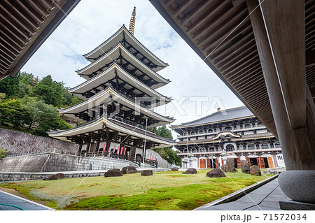 長楽寺（但馬大仏・但馬大佛） 71572034