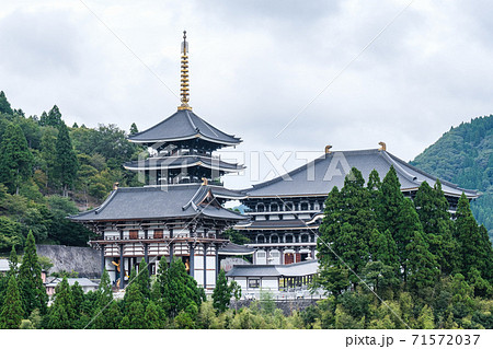 長楽寺（但馬大仏・但馬大佛） 71572037
