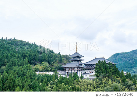 長楽寺（但馬大仏・但馬大佛） 71572040