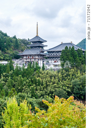 長楽寺（但馬大仏・但馬大佛） 71572042