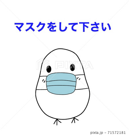 白文鳥　マスクをして下さい 71572181
