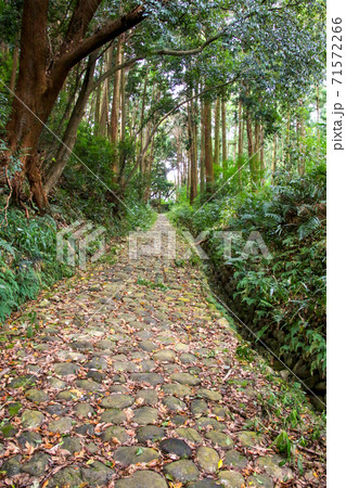 旧東海道金谷坂石畳 旧東海道金谷坂石畳 71572266