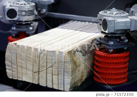 sawing boards from logs with multi rip saw machine sawing boards from logs with multi rip saw machine 71572350
