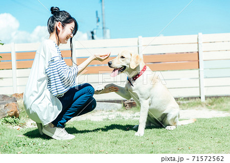 餌を食べる犬 71572562