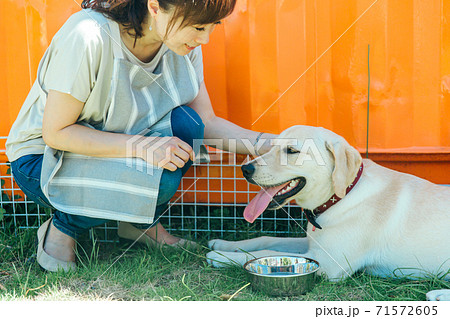 犬の世話をする女性 犬の世話をする女性 71572605