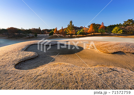 早朝で朝霜の紅葉のゴルフ場のバンカーとレーキ 早朝で朝霜の紅葉のゴルフ場のバンカーとレーキ 71572759