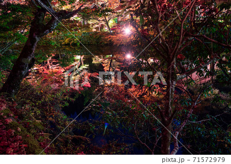 秋の紅葉時期の法生寺ライトアップ 秋の紅葉時期の法生寺ライトアップ 71572979