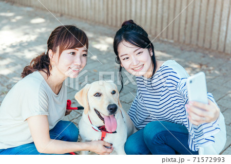 犬の散歩をする女性たち 犬の散歩をする女性たち 71572993