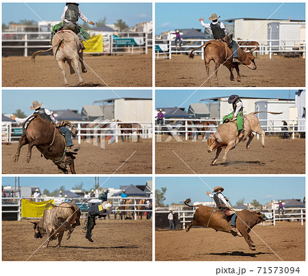 Collage Of Bull Riding At An Outback Rodeo Collage Of Bull Riding At An Outback Rodeo 71573094
