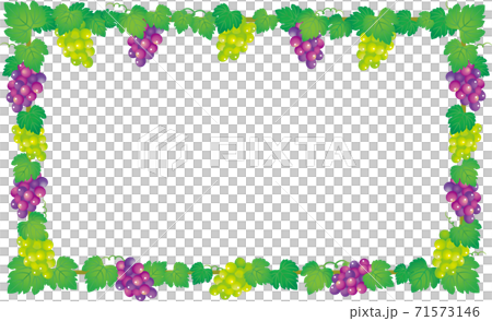Grape frame - Stock Illustration [71573146] - PIXTA