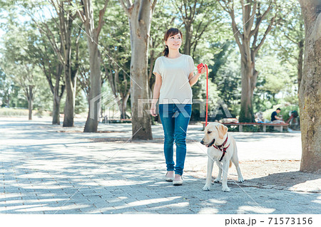 犬の散歩をする女性 71573156