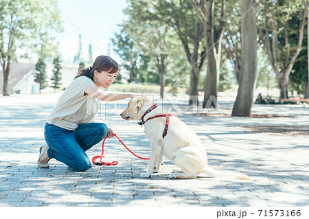 犬の散歩をする女性 71573166